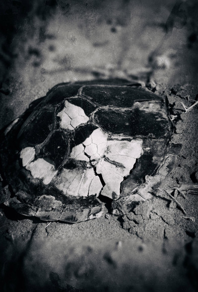 diplomprojekt-ii_schaeffer_escape_23