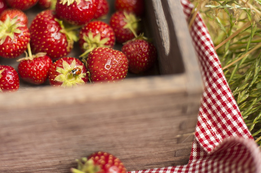 fotograf-ausbildung-nrw-deutschland-fotografie-studium-umschulung-food-fotograf-werden-sammlung
