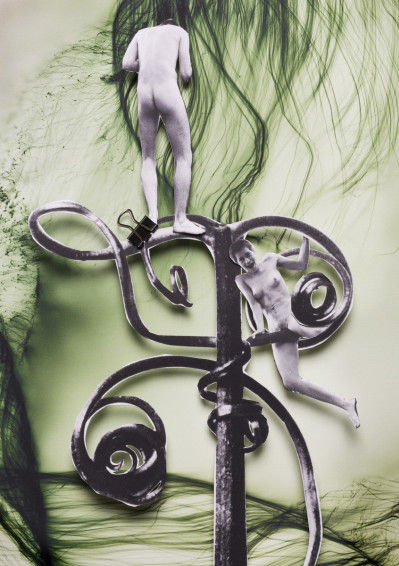 fotograf-ausbildung-nrw-deutschland-fotografie-studium-umschulung-kunst-fotograf-werden-blossfeld