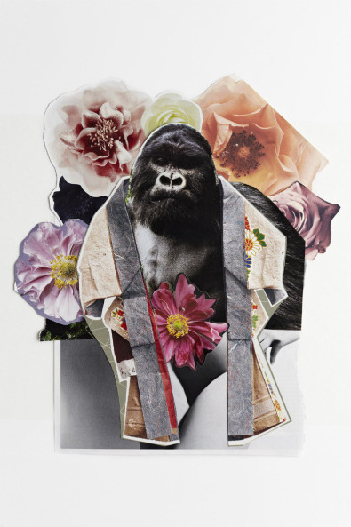 fotograf-ausbildung-nrw-deutschland-fotografie-studium-umschulung-kunst-fotograf-werden-autonom