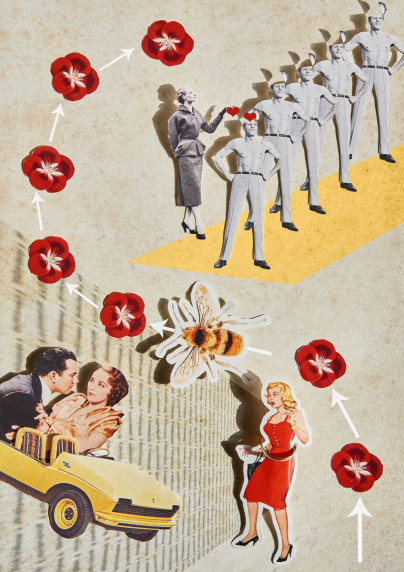 fotograf-ausbildung-nrw-deutschland-fotografie-studium-umschulung-kunst-fotograf-werden-geschichte