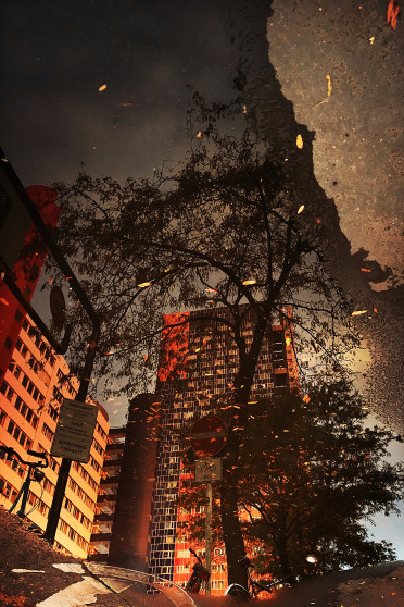 landschaft-fleischer