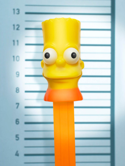 fotograf-ausbildung-deutschland-umschulung-fotograf-portraetfotograf-werden-voraussetzungen