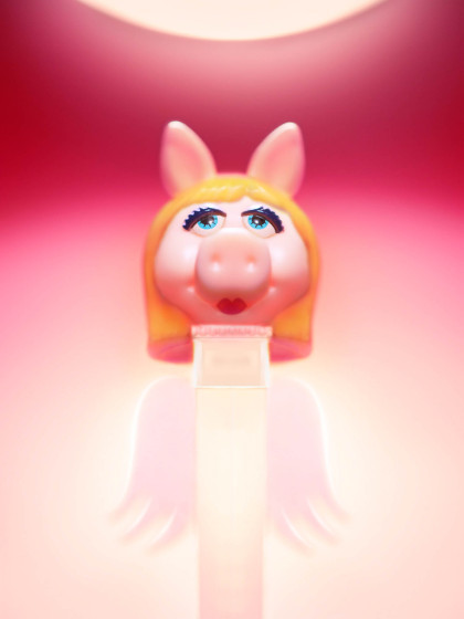 fotograf-ausbildung-deutschland-umschulung-fotograf-portraetfotograf-werden-finanzierung