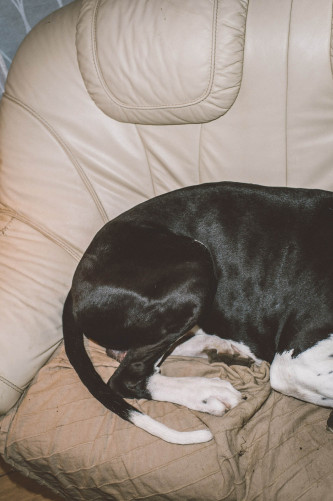 fotograf-ausbildung-nrw-deutschland-fotografie-studium-umschulung-reportagefotografie-pause-2