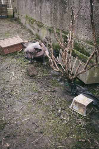 fotograf-ausbildung-nrw-deutschland-fotografie-studium-umschulung-reportagefotografie-freiland