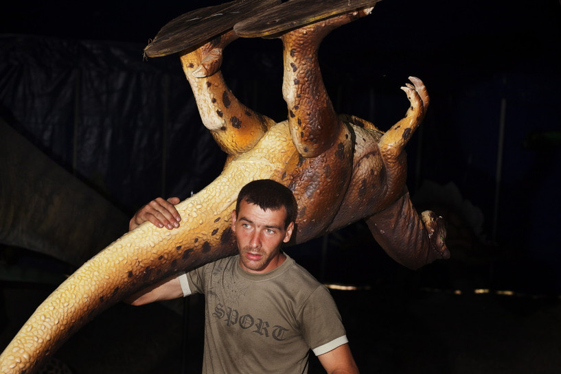 fotograf-ausbildung-nrw-deutschland-fotografie-studium-umschulung-reportagefotografie-tragbar