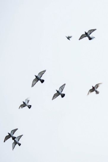 fotograf-ausbildung-nrw-deutschland-fotografie-studium-umschulung-reportagefotografie-meister