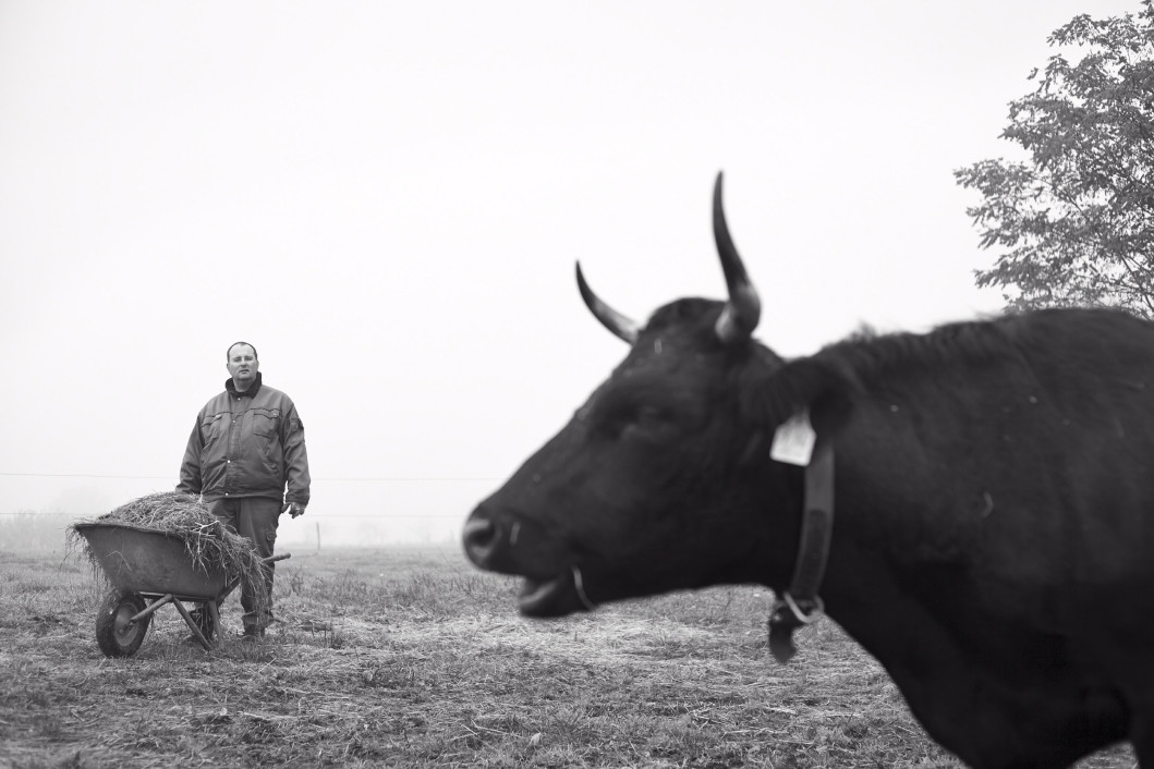 fotograf-ausbildung-nrw-deutschland-fotografie-studium-umschulung-reportagefotografie-zuarbeit