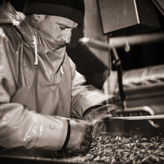 fotograf-ausbildung-nrw-deutschland-fotografie-studium-umschulung-reportagefotografie-kernkompetenz