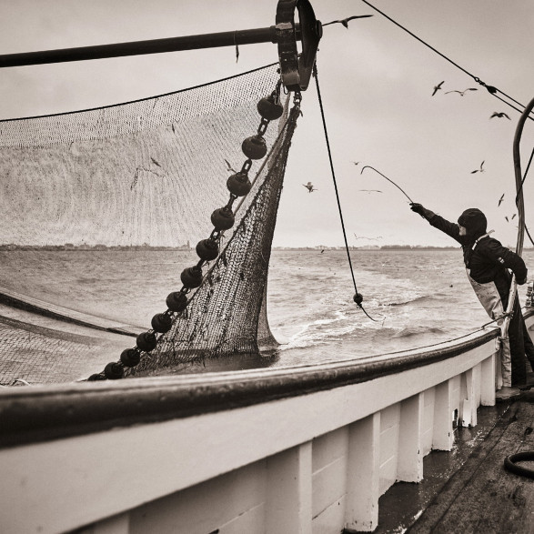 fotograf-ausbildung-nrw-deutschland-fotografie-studium-umschulung-reportagefotografie-netzwerk