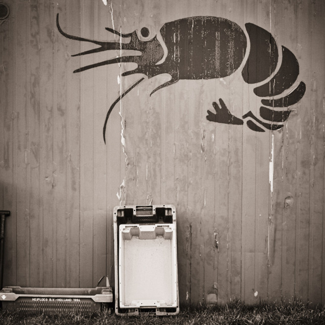 fotograf-ausbildung-nrw-deutschland-fotografie-studium-umschulung-reportagefotografie-ausweichstudium