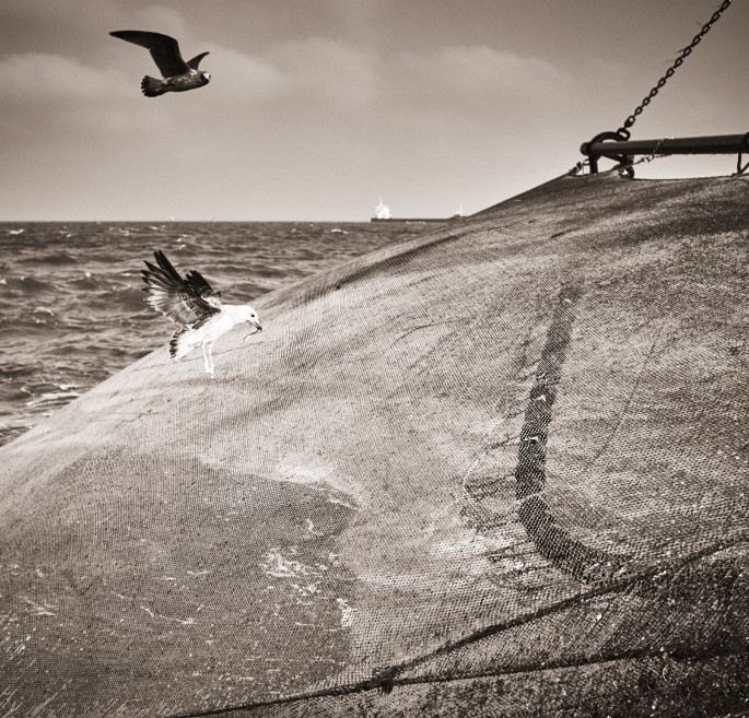 fotograf-ausbildung-nrw-deutschland-fotografie-studium-umschulung-reportagefotografie-freiflug