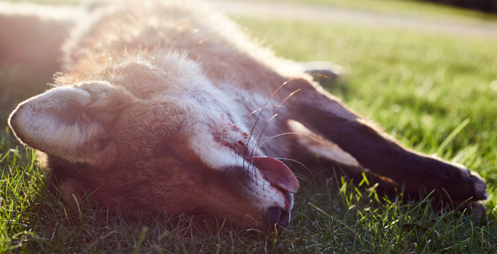 fotograf-ausbildung-nrw-deutschland-fotografie-studium-umschulung-reportagefotografie-ausbildungsende