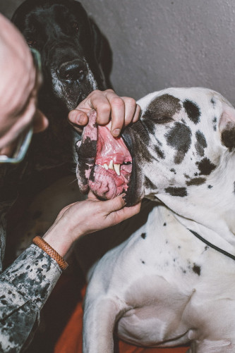 fotograf-ausbildung-nrw-deutschland-fotografie-studium-umschulung-reportagefotografie-erschliessen