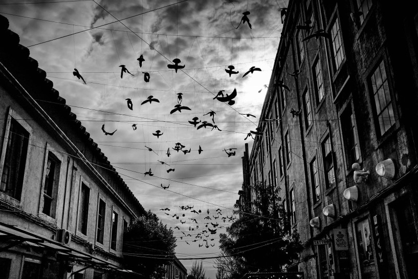 fotograf-ausbildung-nrw-deutschland-fotografie-studium-umschulung-streetfotografie-aussichten-4