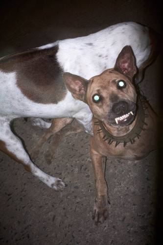 fotograf-ausbildung-nrw-deutschland-fotografie-studium-umschulung-streetfotografie-bisskraft