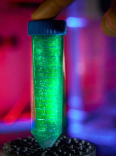 fotograf-ausbildung-nrw-deutschland-fotografie-studium-umschulung-industriefotograf-probe