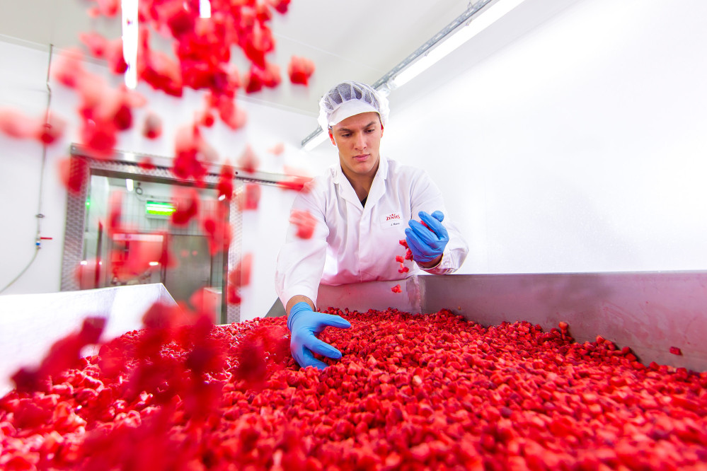 fotograf-ausbildung-nrw-deutschland-fotografie-studium-umschulung-industriefotograf-auswahl