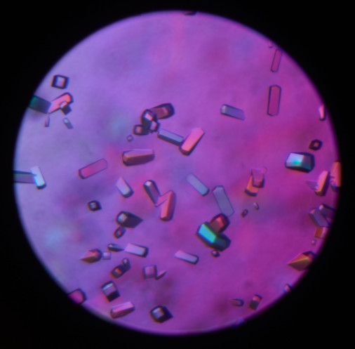 fotograf-ausbildung-nrw-deutschland-fotografie-studium-umschulung-industriefotograf-teile