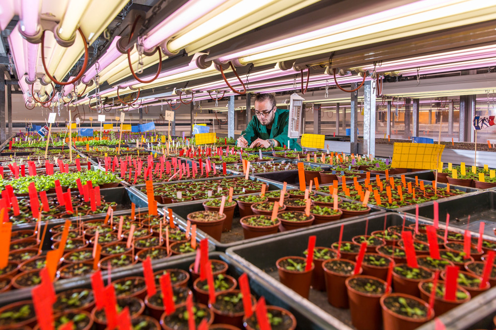 fotograf-ausbildung-nrw-deutschland-fotografie-studium-umschulung-industriefotograf-ausbildung