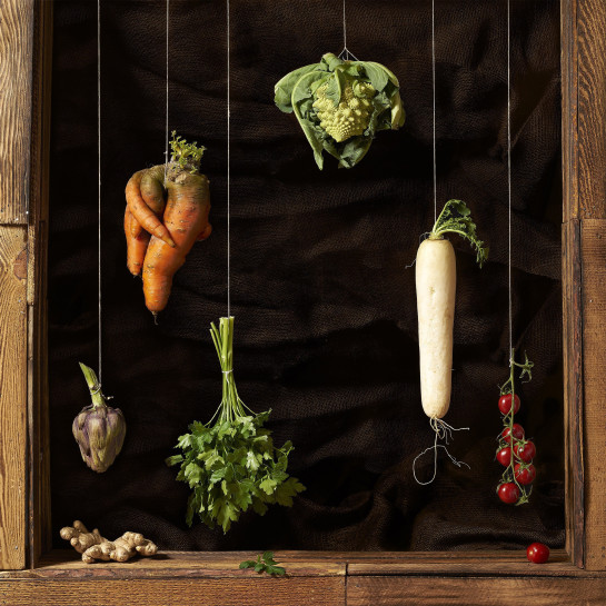 fotograf-ausbildung-nrw-deutschland-fotografie-studium-umschulung-werbefotograf-aussichten