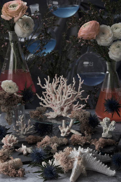 fotograf-ausbildung-nrw-deutschland-fotografie-studium-umschulung-4