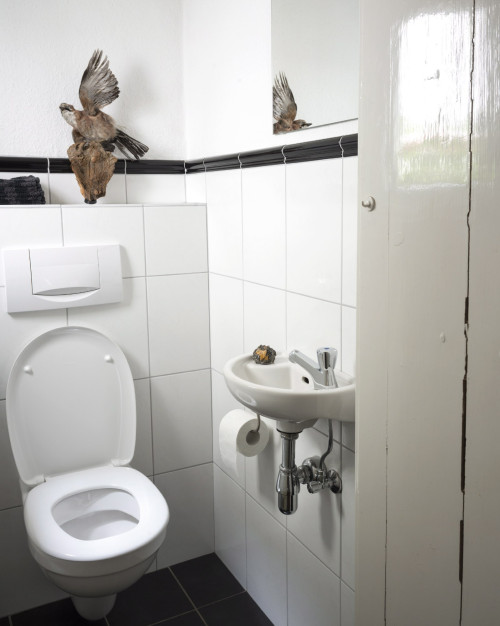 fotograf-ausbildung-nrw-deutschland-fotografie-studium-umschulung-werbefotograf