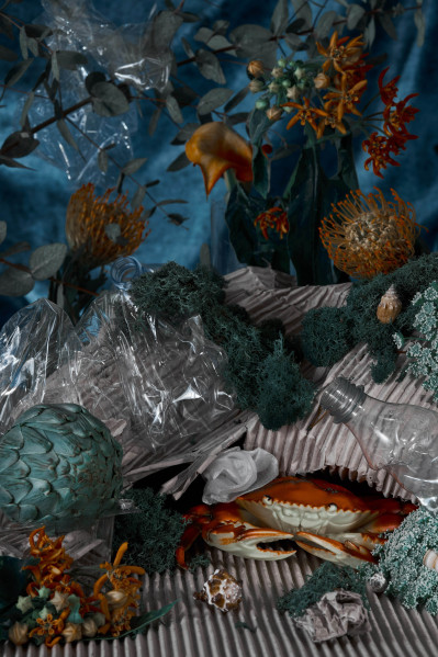 fotograf-ausbildung-nrw-deutschland-fotografie-studium-umschulung-2