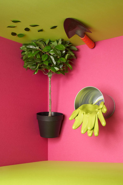 fotograf-ausbildung-nrw-deutschland-stilllife-zeugnis