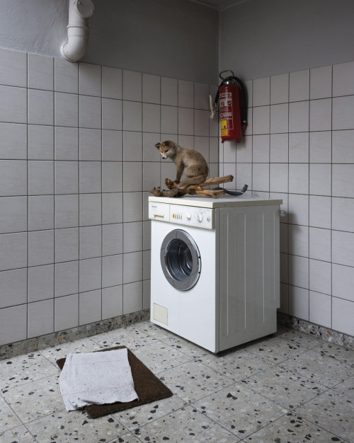 fotograf-ausbildung-nrw-deutschland-fotografie-studium-umschulung-still-abschluss