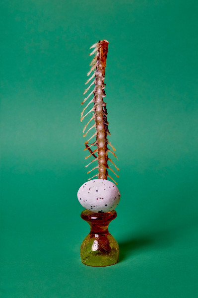 fotograf-ausbildung-nrw-deutschland-fotografie-studium-stilllife-kunst