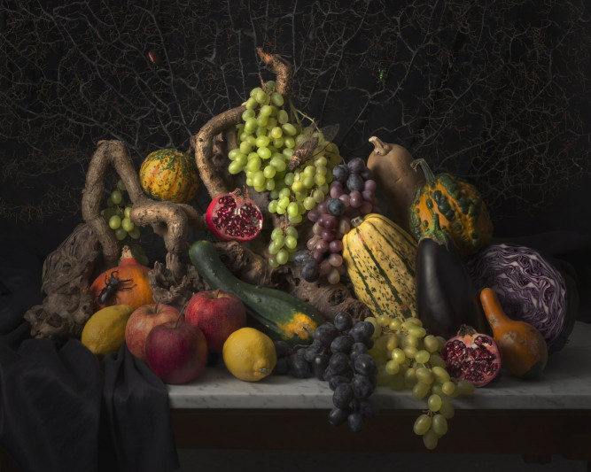 fotograf-ausbildung-nrw-deutschland-stilllifefotograf-2