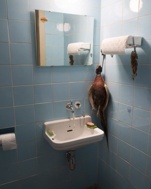 fotograf-ausbildung-nrw-deutschland-fotografie-studium-umschulung-still-zulassung-2